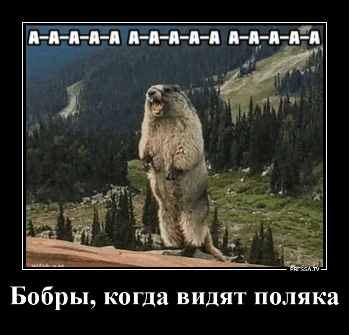 ���� �����