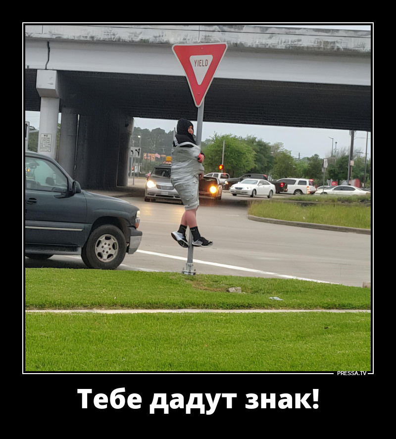 ��� ��� ����