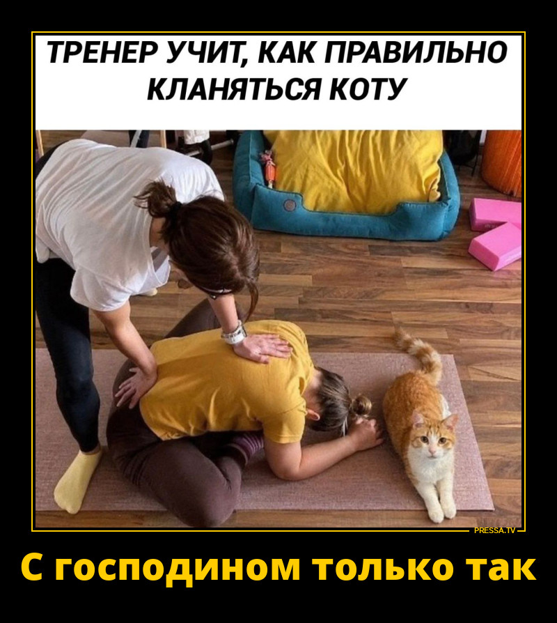 � ��� ��������!
