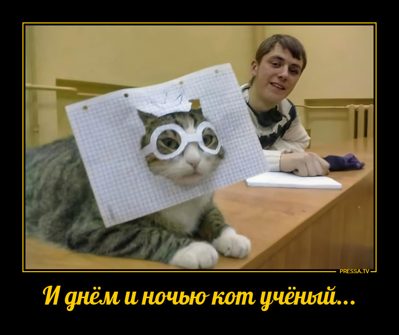 Кот учёный