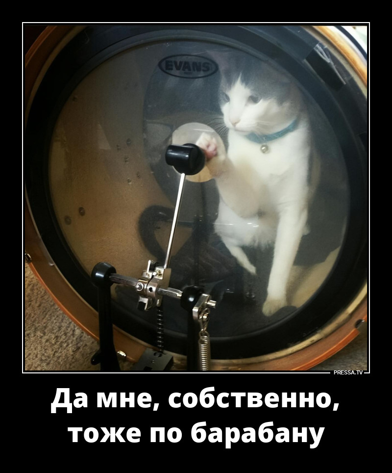 �� ��������