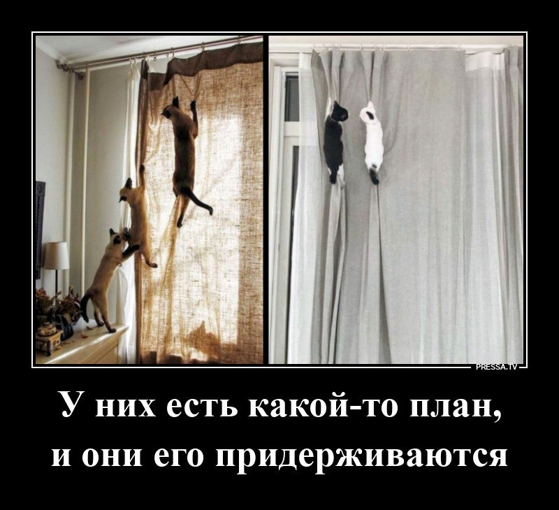 �������������� �������� �����