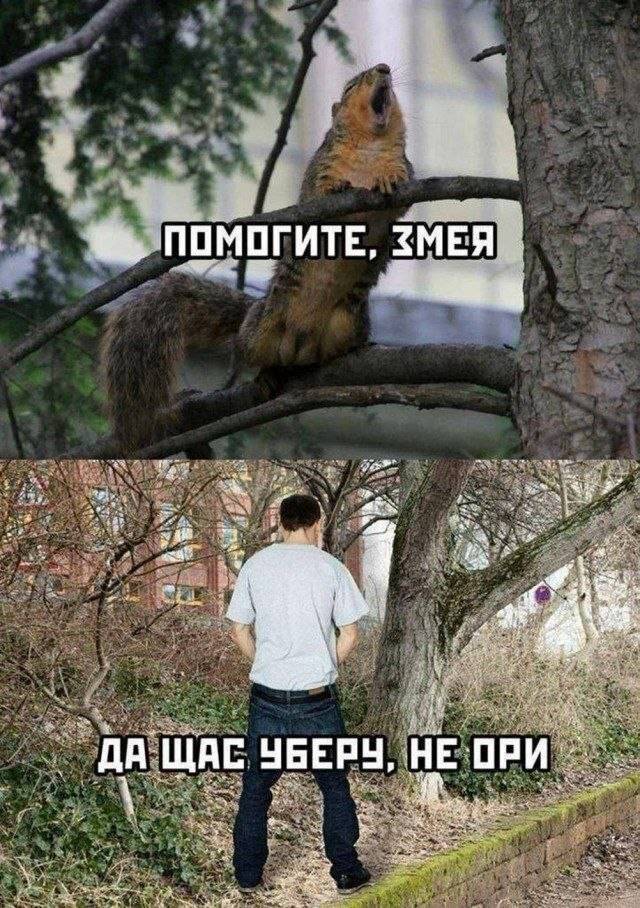 ���� � �������� 
