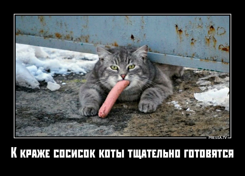 ������� �� ����� ������������