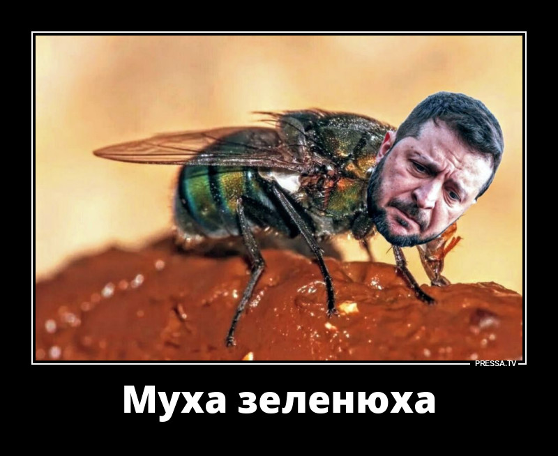 ***
