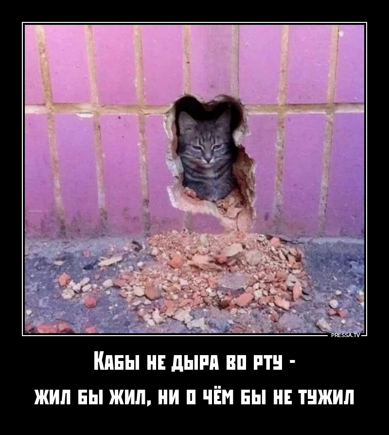 ***