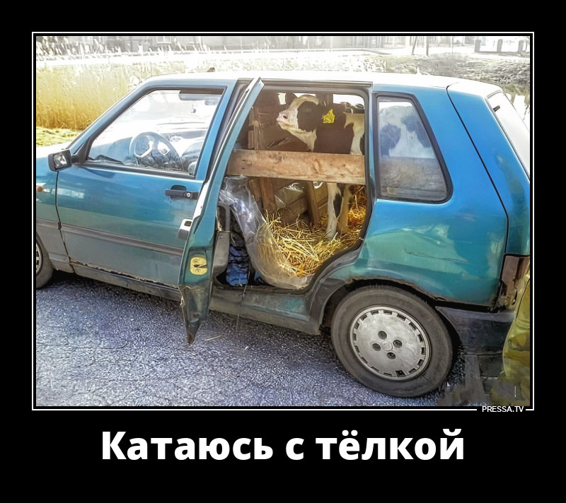 ����� �� ������