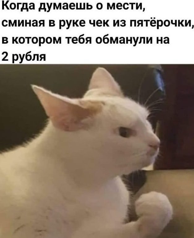 ���� � �������� 