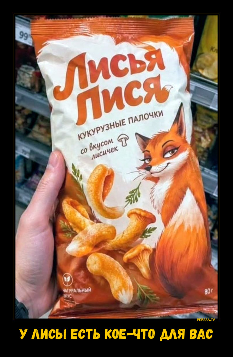 ������ ��������