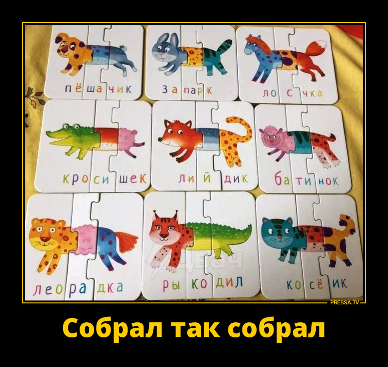 �������� ����