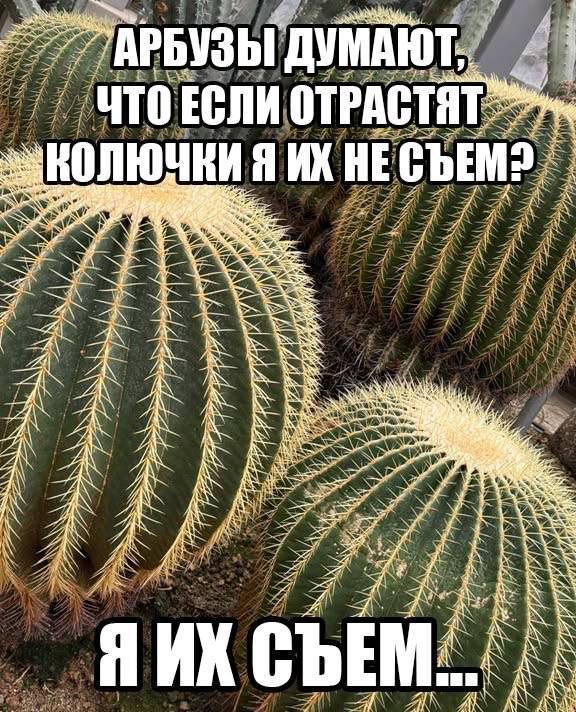 ���� � �������� 