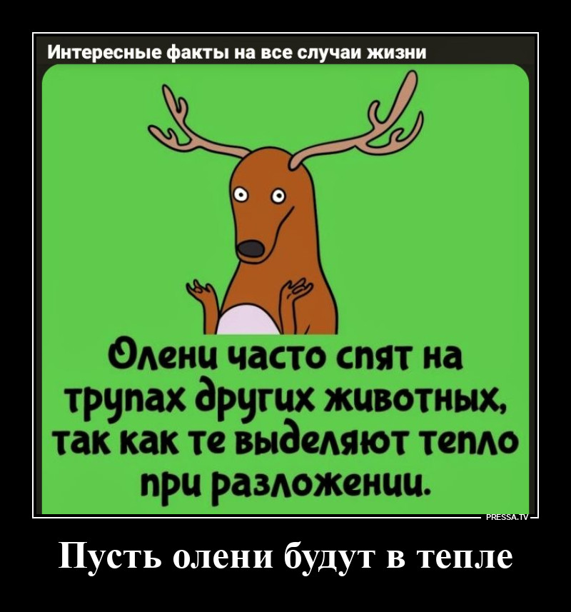 ��� �����!