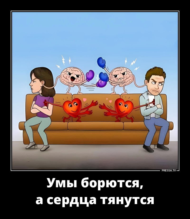 ����� ����