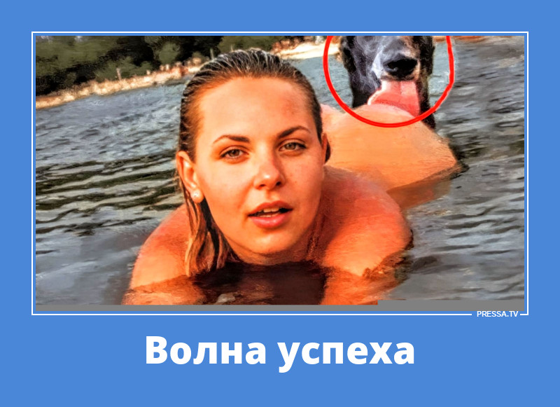 ������� ������