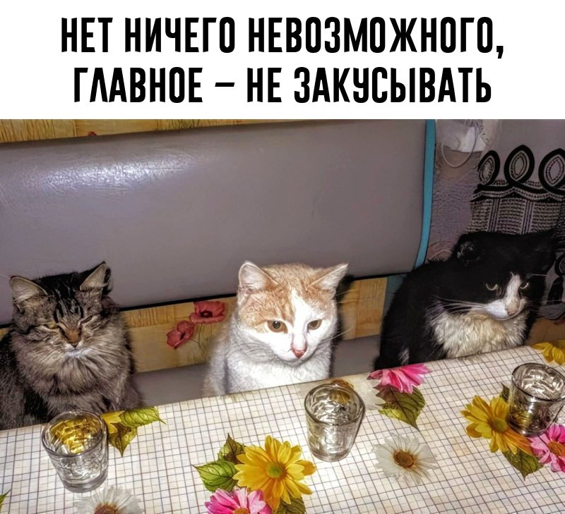 ��� ������ �� ���? ������ ��� �����?