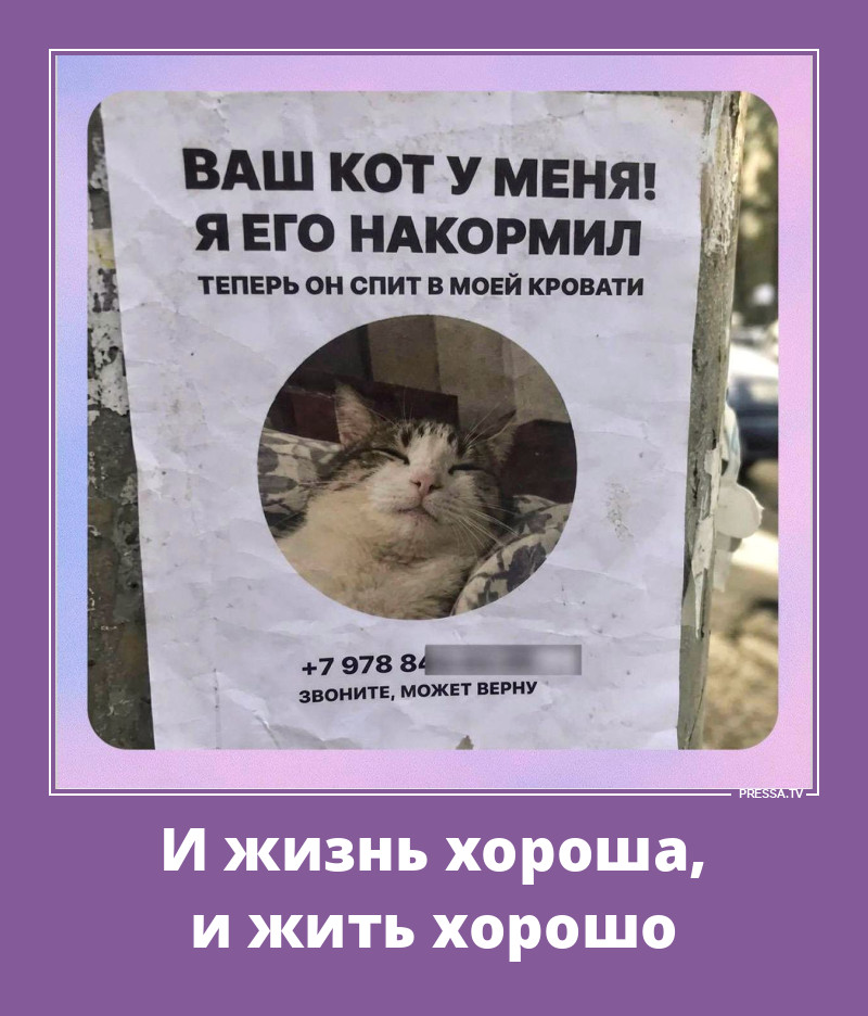 ����� �������