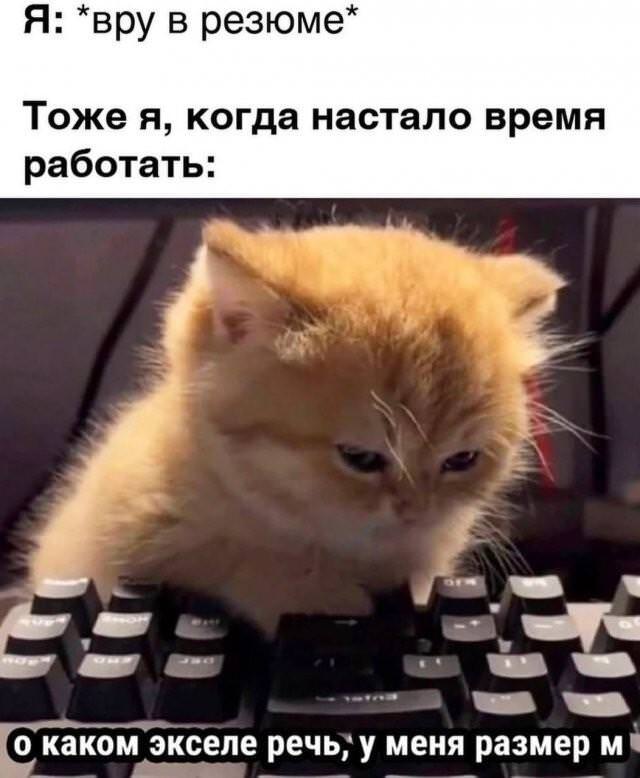 ���� � �������� 
