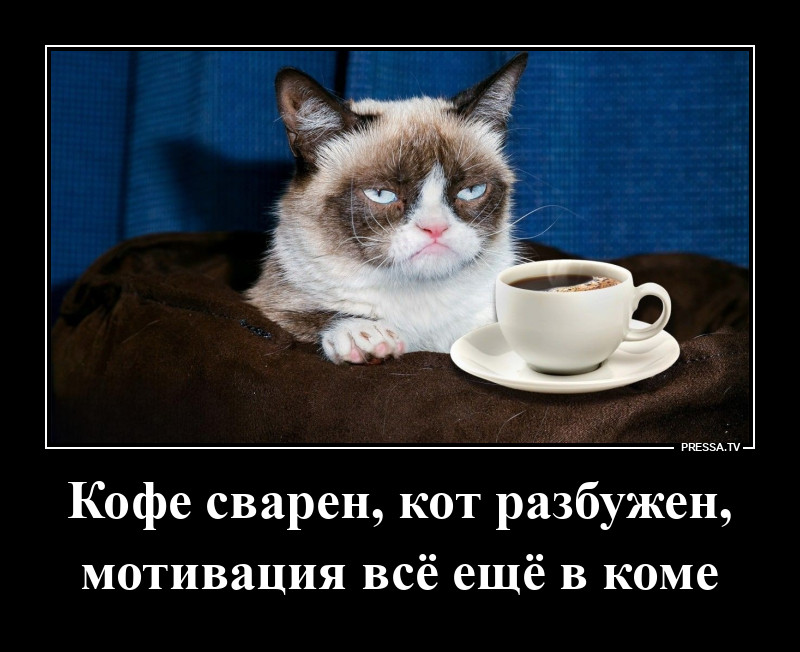 Мотивация в коме