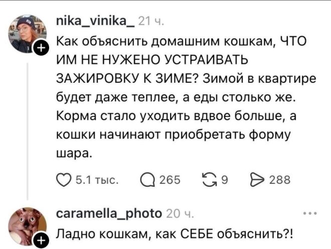 ���� �� ��������
